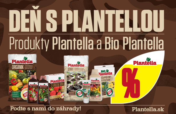 Plantella Day