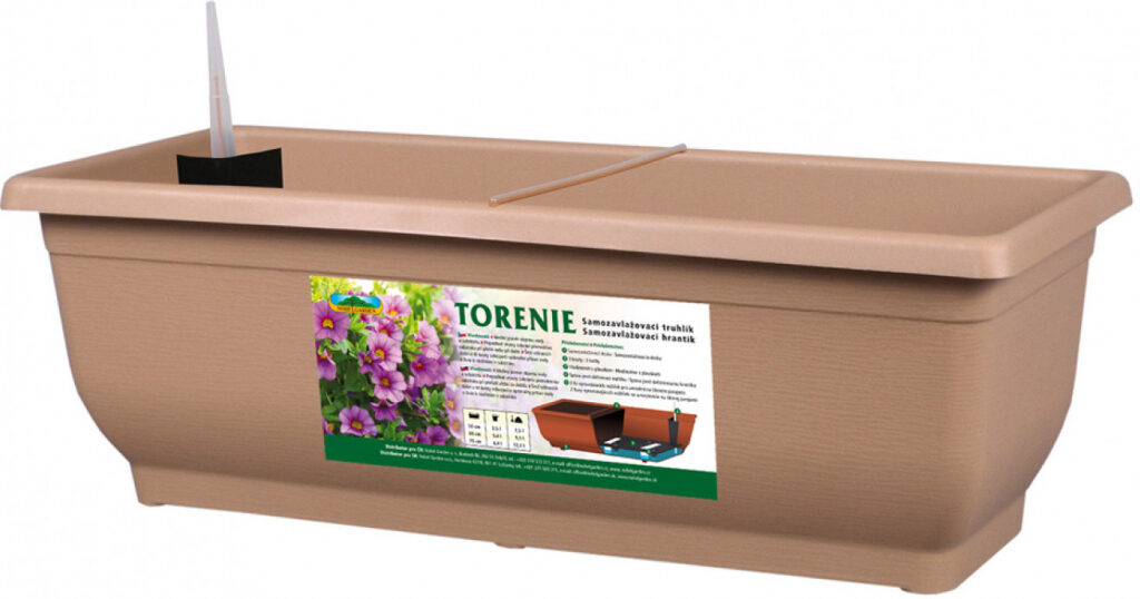Torenie